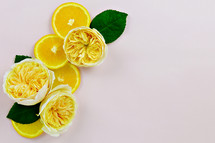 yellow roses and lemons on white background 