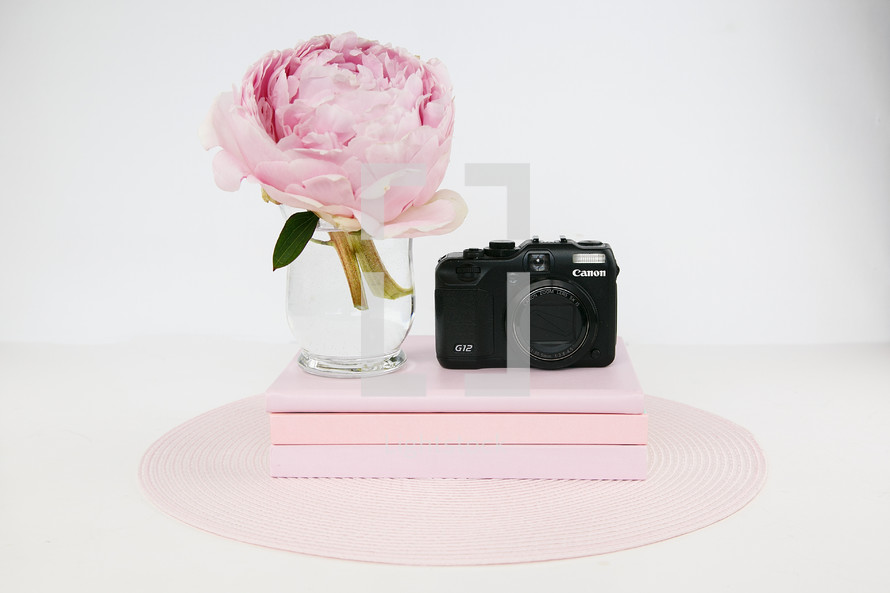 pink peony, books, and camera 