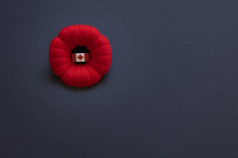 Canada red poppy on black 