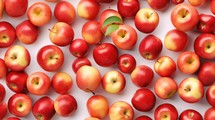  apples With White background top Created With Generative AI Technology	
