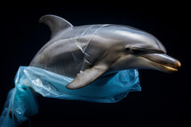 AI generative image. Dolphin in the plastic bag. Environmental issues concept