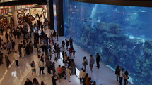 Large group of tourists at the Dubai Mall aquarium in middle eastern city.