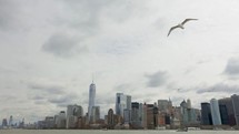 Manhattan Urban Cityscape, Seagulls and Bay New York City. View From the Boat. Unites States of America
