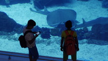 Tourists watching fish, rays, sharks swimming in Dubai aquarium at the mall taking photos with their phone.