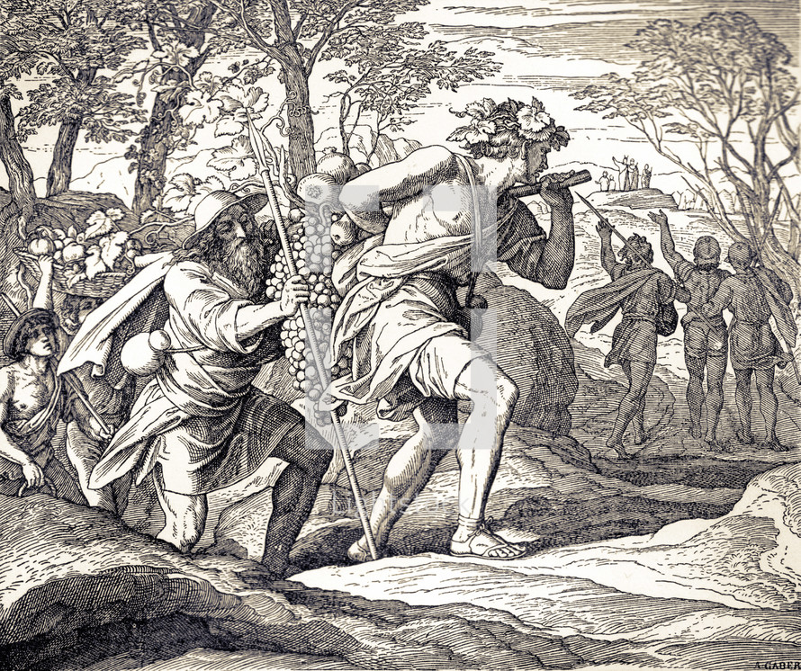Spies Return from Canaan, Numbers 13:23-25