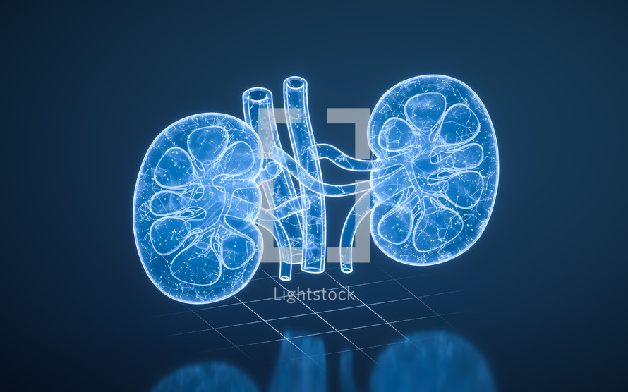 Kidney with blue technology structure, 3d rendering.
