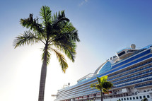 Palm tree and cruise ship 