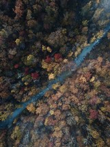 aerial view over a fall forest and river 