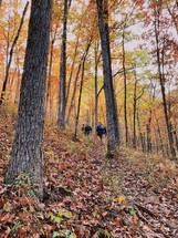 people hiking in a fall forest 