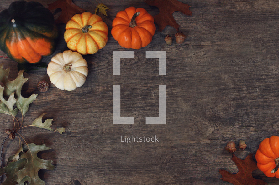 Thanksgiving holiday pumpkins and fall leaves on a wood background 