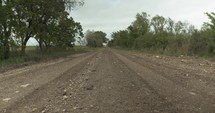 Unpaved dirt road surrounded by green trees on moody, grey, overcast, cloudy sky on summer afternoon in rural area.