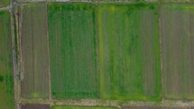 Cultivated Lands Aerial