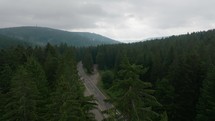 Aerial footage showing group of cyclists on a road in the forest