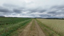 Aerial view of a rural road running between golden wheat fields