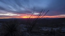 Timelapse of colorful sunset clouds beyond exotic desert plants