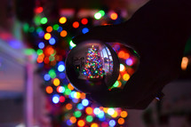 Christmas tree in a glass orb