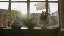 Sun streams through a multi-pane window onto decorative pots with plants on a sill