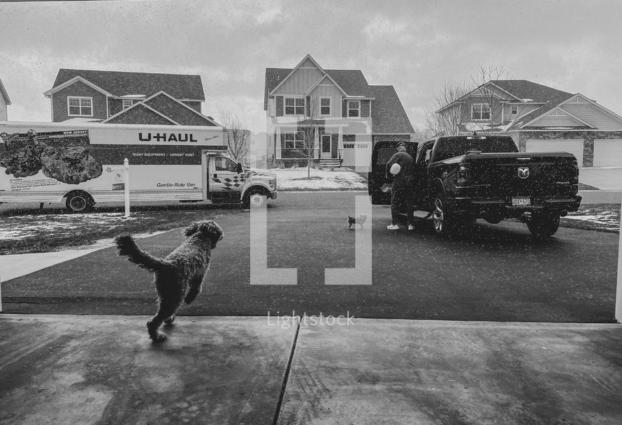 dogs running towards their owner in a driveway 