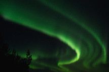 green Northern Lights in the night sky 