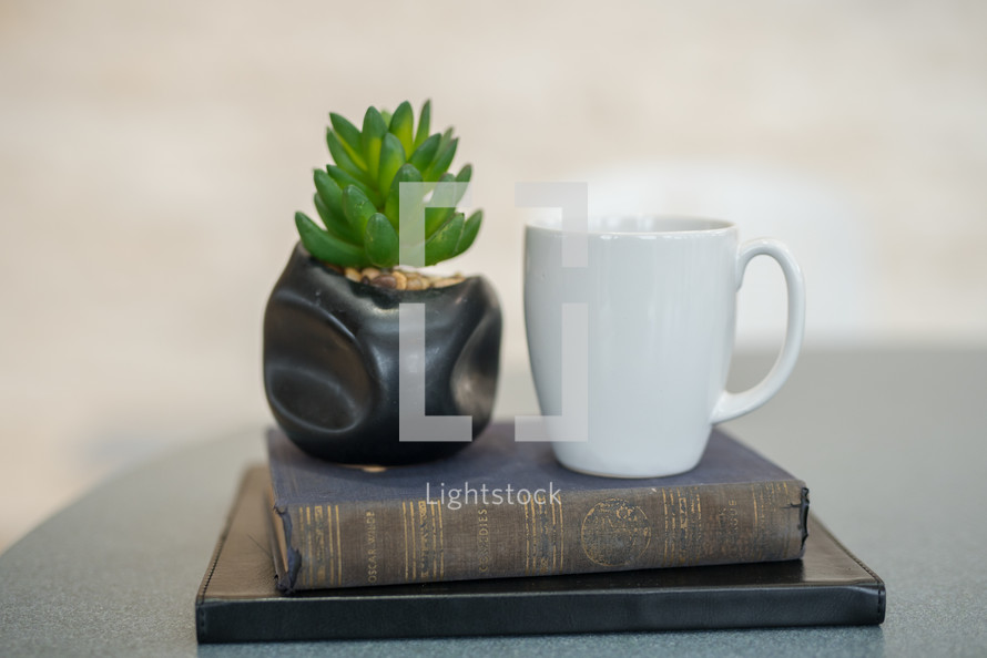 coffee mug, houseplant and a stack of books 