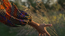 Womans hand brushes tall grass in golden setting sun summer - freedom in nature
