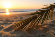 Closeup of Palm Tree on Sunset Summer Beach