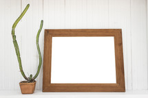 potted cactus and frame