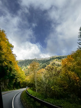 Road through autumn trees