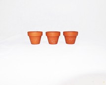 three small terra cotta pots