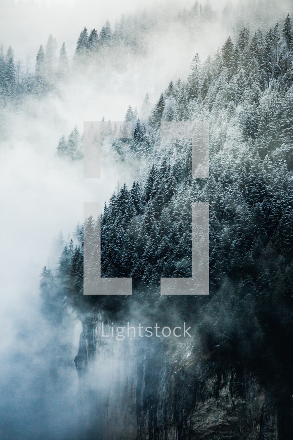 Moody snow covered forest landscape with blue fog and mist in the mountains