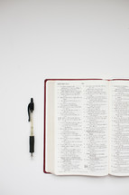 pen and open Bible 