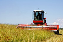 Harvesting a grass field for agricultural use in feeding livestock.