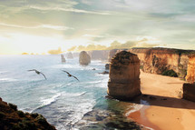 seagulls flying over the 12 Apostles beach at sunrise  along the shore line in Australia. 