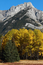 Autumn trees and mountains