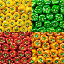 Collage of fresh bell peppers for sale