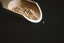 mustard seeds on a black background 