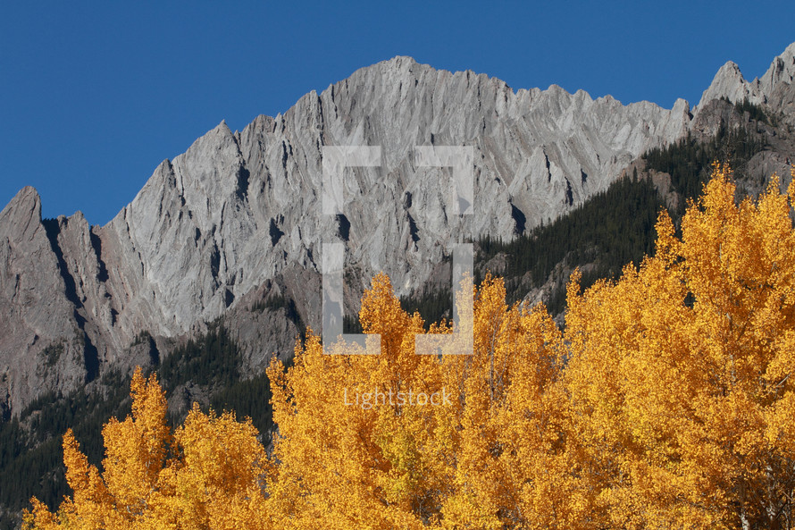 Trees and mountains in Autumn