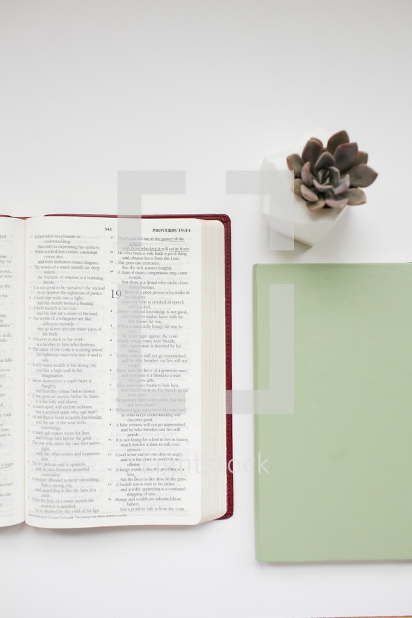 open Bible, journal, succulent plant on a white background 