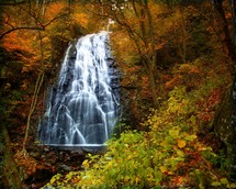 Waterfall in the autumn leaves.