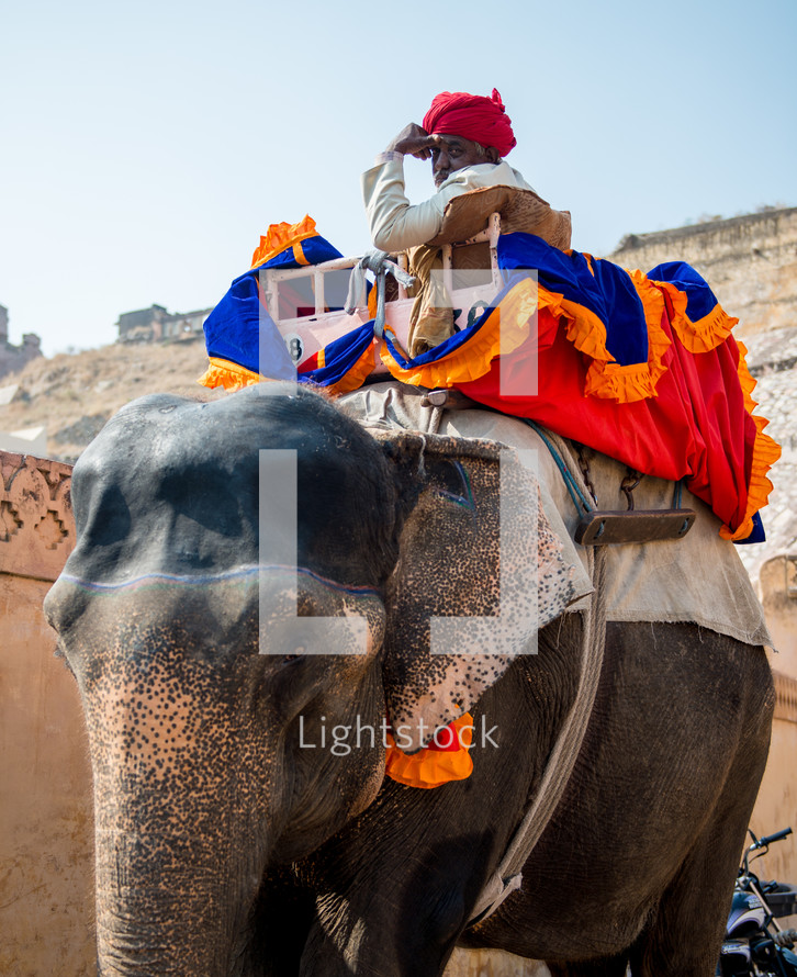 a man on an elephant in India 