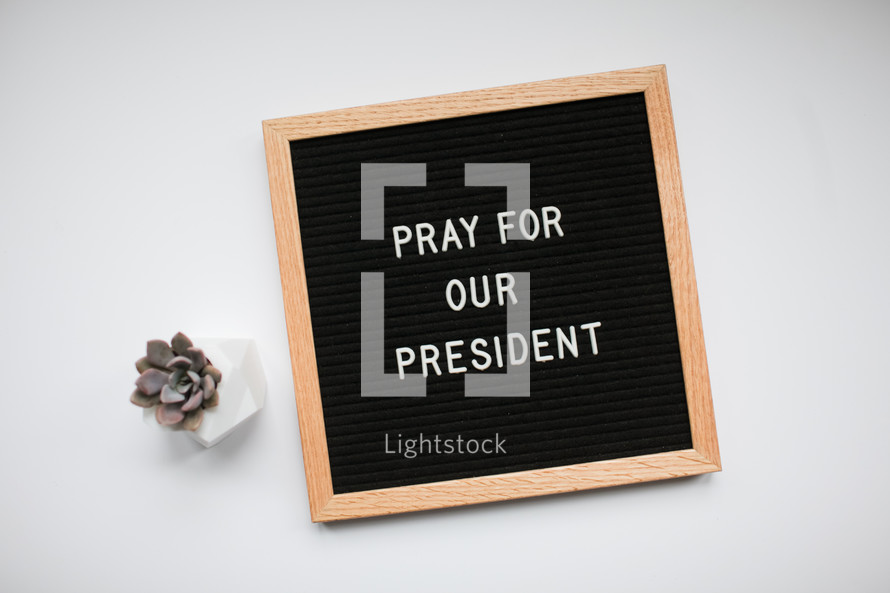pray for our president sign and succulent plant on a white background 