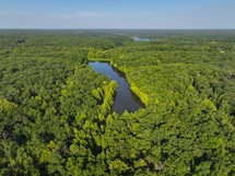 Drone view of two small lakes surrounded by green trees in the woods.