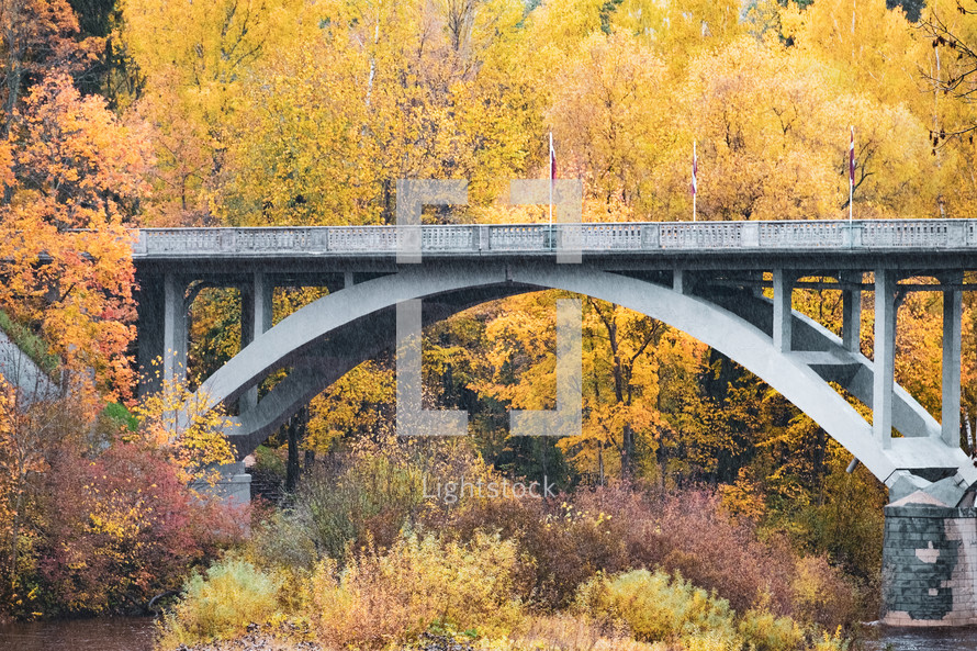 bridge and fall trees 