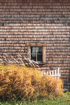 tall grasses in front of a coastal home 