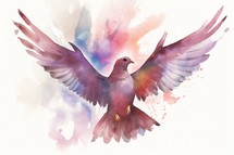 Colorful Dove Watercolor Clipart