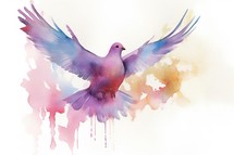Colorful Dove Watercolor Clipart