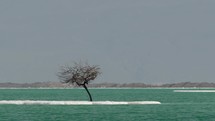 Salty islets in pure water of Dead Sea