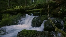 water flowing over moss covered rocks 