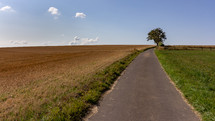 Paved public footpath leading to a single lonely tree through farmland fields in rolling hills of Luxembourg