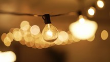 Vintage Edison light bulbs